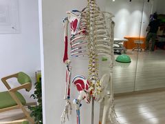 -森诺运动康复中心(北苑店)