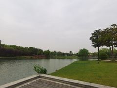 -上海佘山世茂艾美酒店