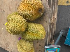 -西郊国际农产品交易中心