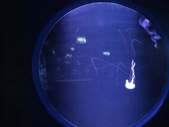 -欢乐海岸海洋奇梦馆