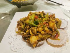 辣炒小扇贝-双井轩(双井店)