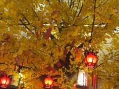 -袁州宴·地道袁州菜(袁山东路店)