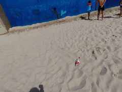 -青鱼湾水上乐园