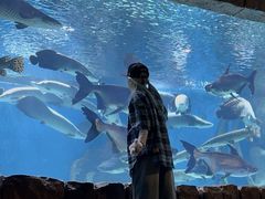 -多彩贵州城极地海洋世界