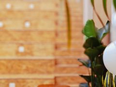 -樹夏shhha(越秀店)