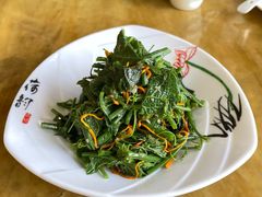 虫草龙须菜-同心春餐饮(富宁街店)