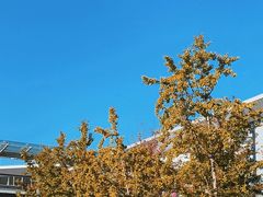 -国家会展中心