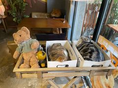 -咖法森林·咖啡  酒吧(天河店)