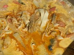 -momokira米努特·德文卷毛猫·棉花面纱犬