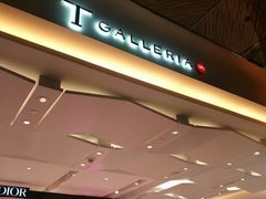 -DFS迪斐世(澳门新濠天地店)