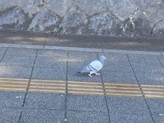 -热田神宫