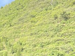 -山叶口景区