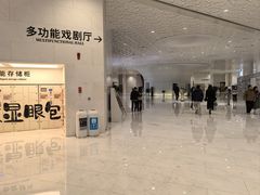 -福州海峡文化艺术中心