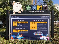 -海合安武汉极地海洋公园