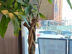 -六泰居·尔滨地标·东北菜(泰山路店)