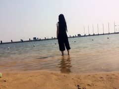 -碧海金沙