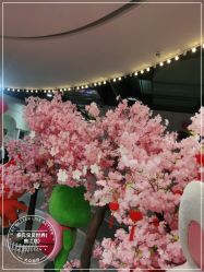 -多元宝贝世界(曲江彩虹谷店)