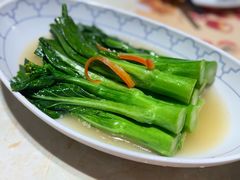 -点都德·毕德寮