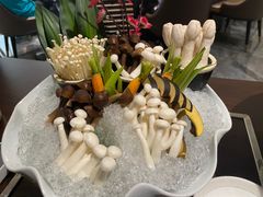 -新廊桥(原科华廊桥店)
