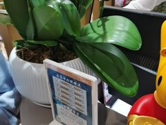 -半岛听涛蒸汽海鲜自助(K11店)