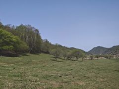 -关山草原