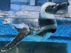 -石林冰雪海洋世界