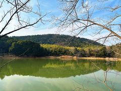 -游子山休闲旅游区