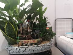 -鱼鼎香烤鱼火锅(华发商都店)