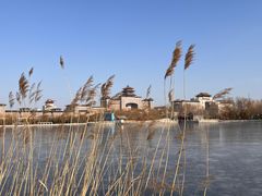 -莲花池公园