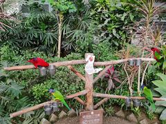 -南宫五洲植物乐园