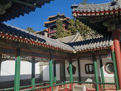 -宫事颐庭·老佛爷贵寿下午茶(颐和园店)