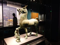 -广西壮族自治区博物馆