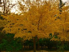 -北京三里屯CHAO酒店
