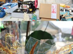 -南宁良凤江国家森林公园