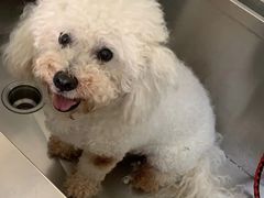 -宠颐生宠物医院·骨外科·犬猫全科诊疗中心(池州店)