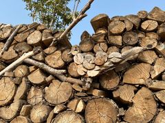 -永定河休闲森林公园