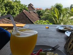 -飞鱼&摩娜潜水度假村