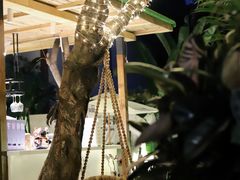 -云里小坐·小院里·团建·宴请·下午茶(三圣乡店)