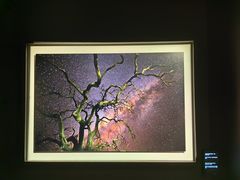 -罗红摄影艺术馆