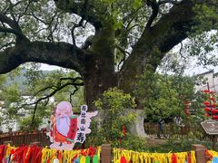 -新安江山水画廊风景区