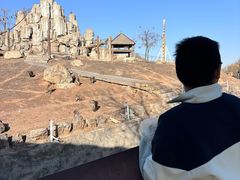 -石家庄市动物园