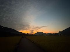 -艾米稻香小镇