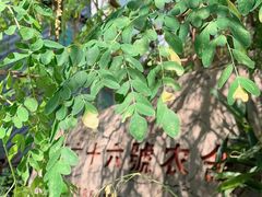 -杨厝六十六农庄农舍(杨厝路店)