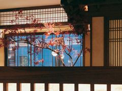 -揽季锅物会.福建黄鱼.海鲜姿造(五四路店)