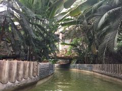 -龙达温泉生态城