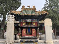 -药王庙(安国市)