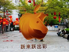 -Apple零售店(深圳益田假日广场店)