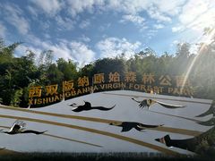-西双版纳原始森林公园