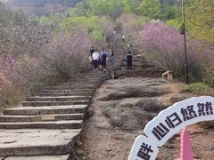 -天台山赤城山景区