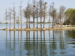 -贡湖湾湿地公园